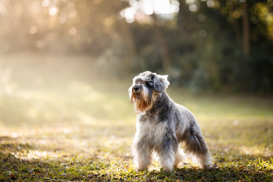 שנאוצר בטבע.