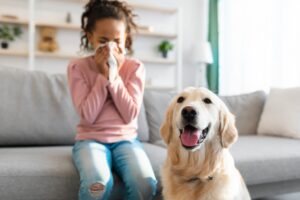 לברדור ואישה עם אלרגיה.